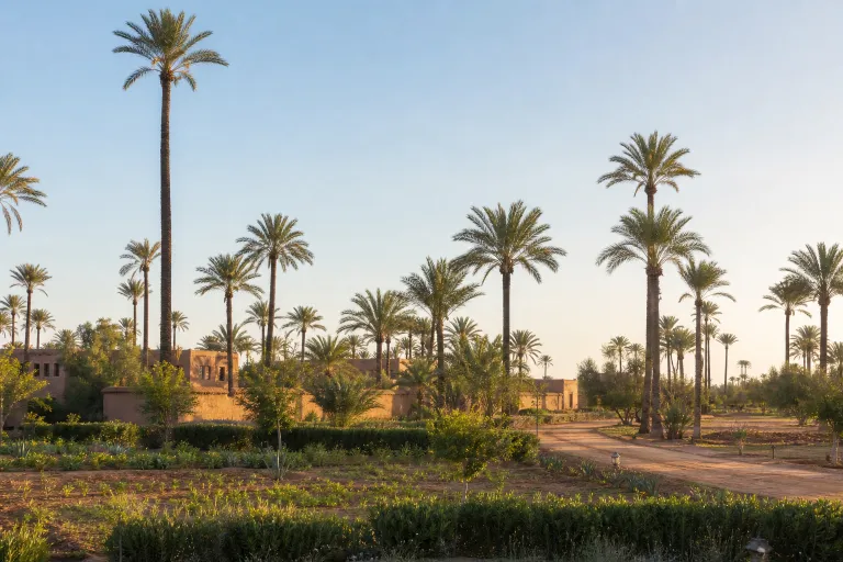 Palmeraie · Marrakech.immo